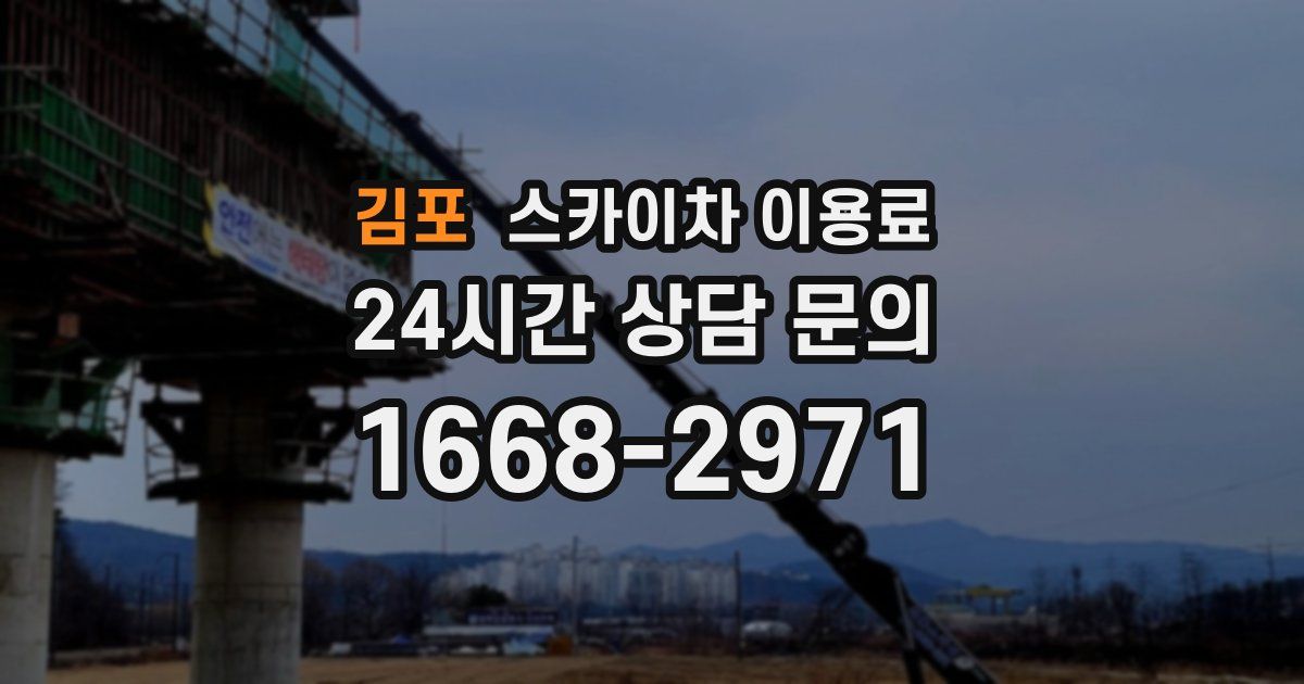김포 스카이차 이용료