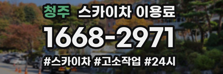 청주 스카이차 이용료