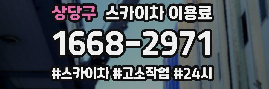 상당구 스카이차 이용료
