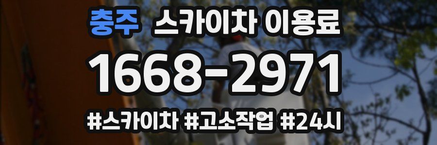 충주 스카이차 이용료