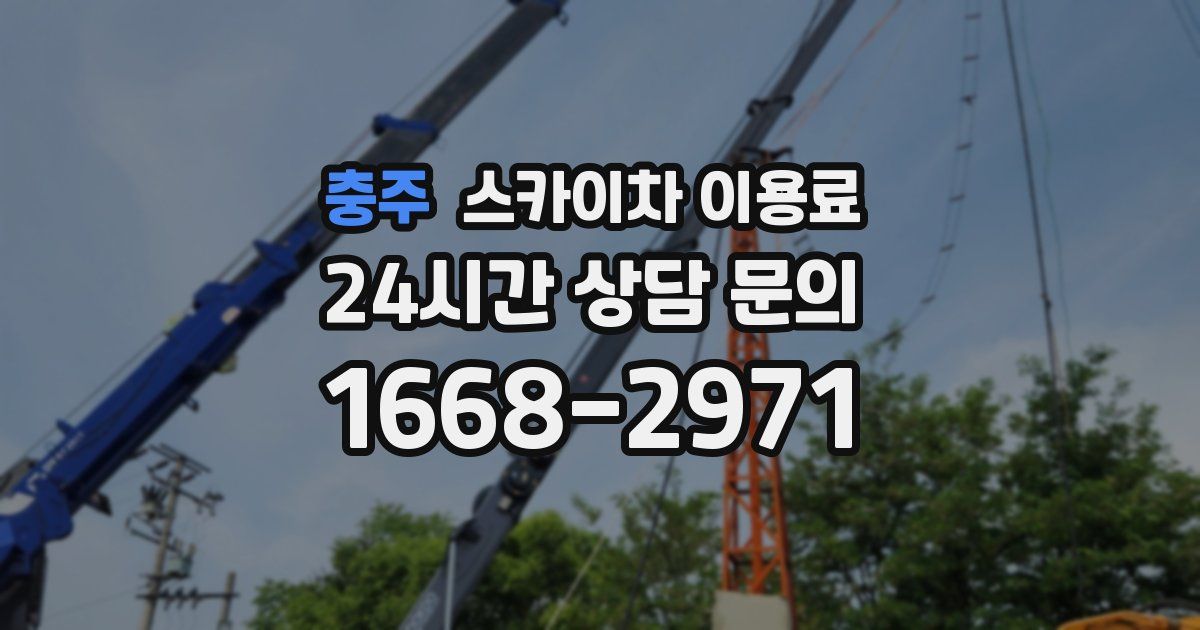 충주 스카이차 이용료