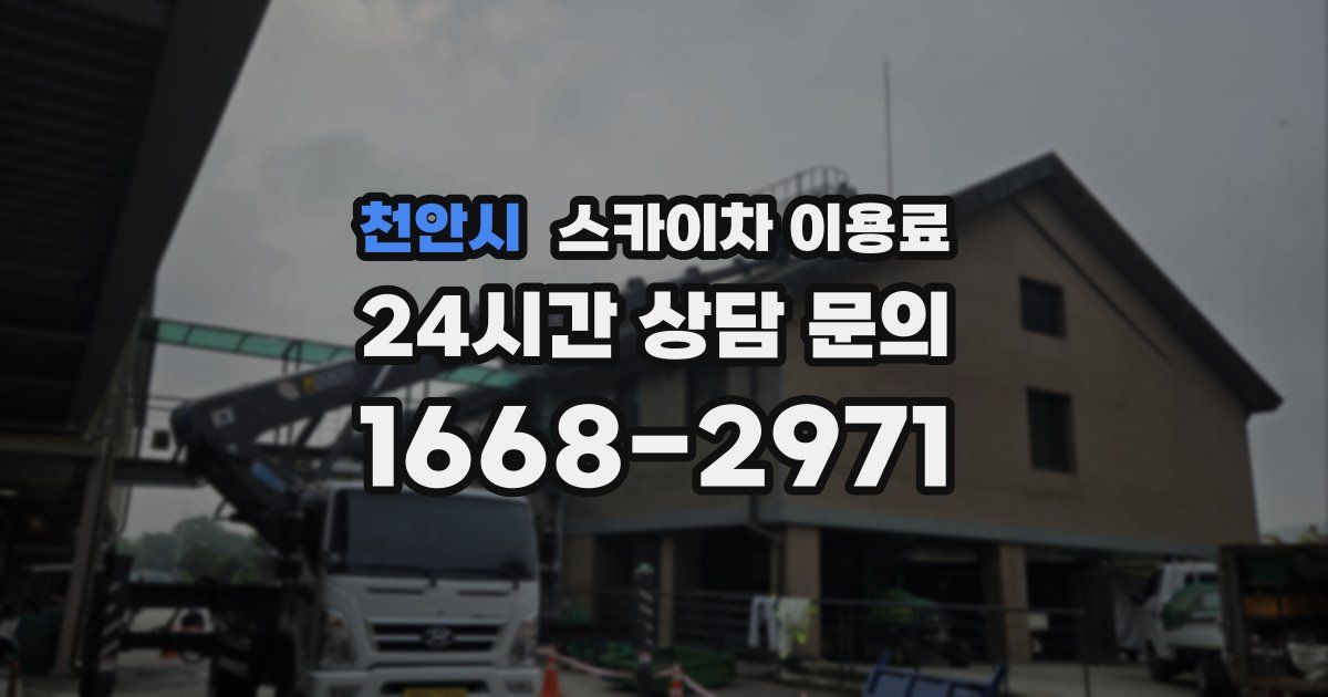 천안시 스카이차 이용료