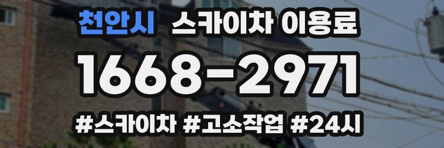 천안시 스카이차 이용료