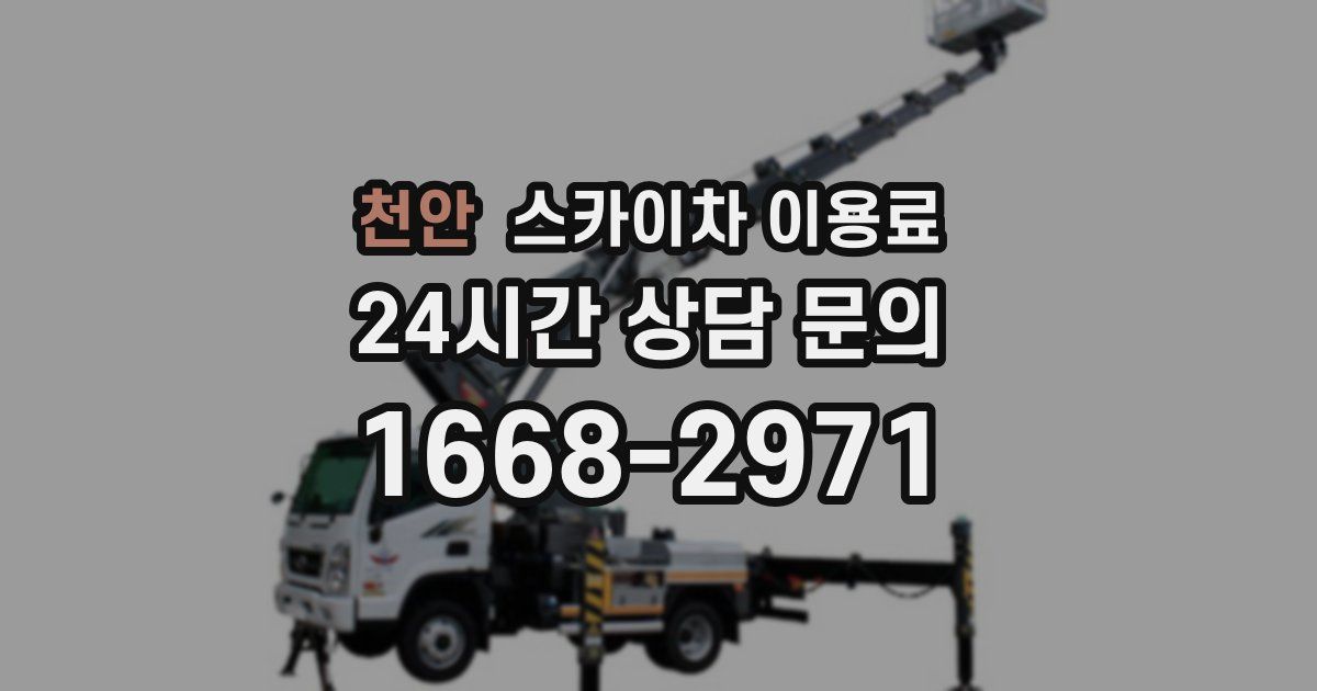 천안 스카이차 이용료