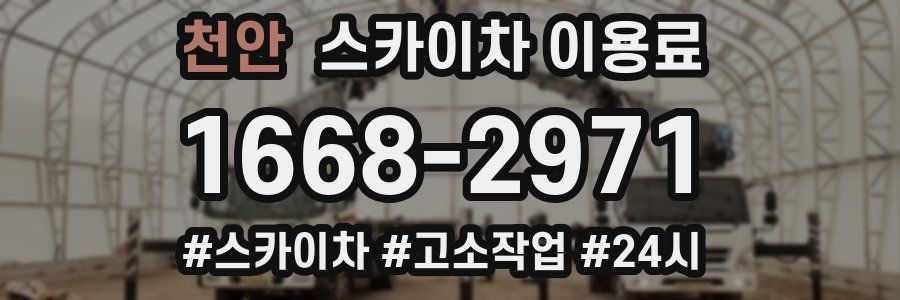 천안 스카이차 이용료