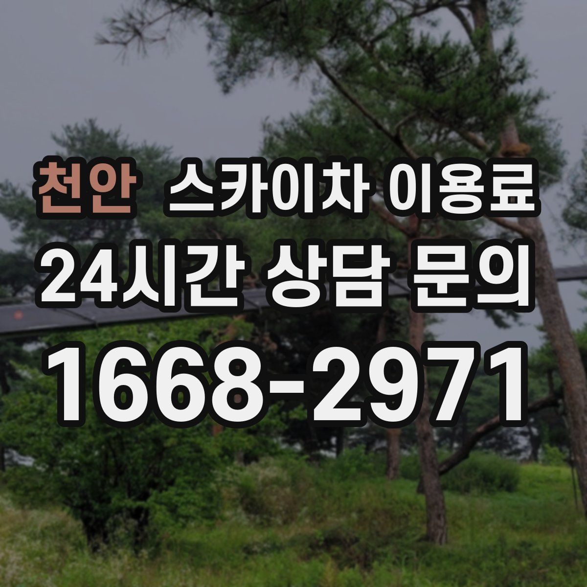 천안 스카이차 이용료