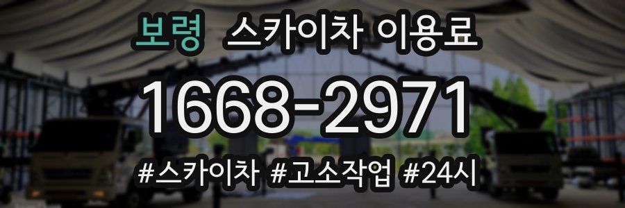 보령 스카이차 이용료