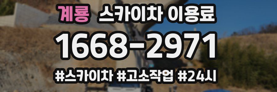 계룡 스카이차 이용료