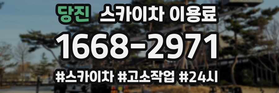 당진 스카이차 이용료