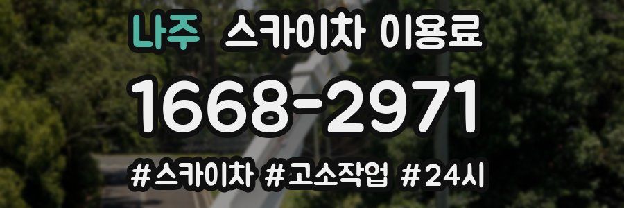 나주 스카이차 이용료