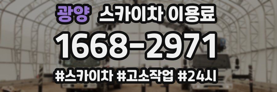 광양 스카이차 이용료