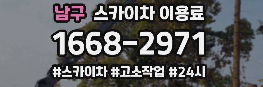 남구 스카이차 이용료