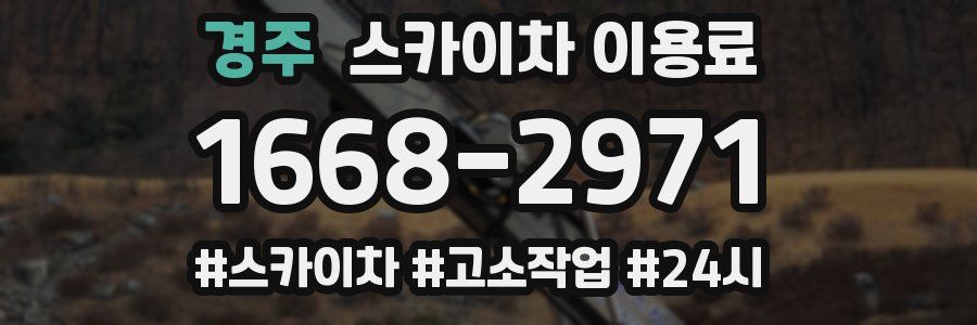 경주 스카이차 이용료