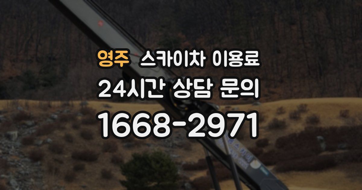 영주 스카이차 이용료