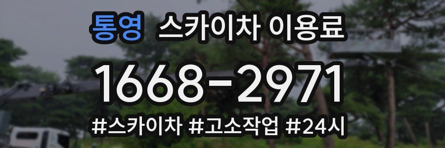통영 스카이차 이용료