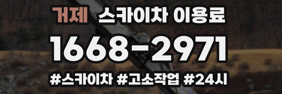거제 스카이차 이용료