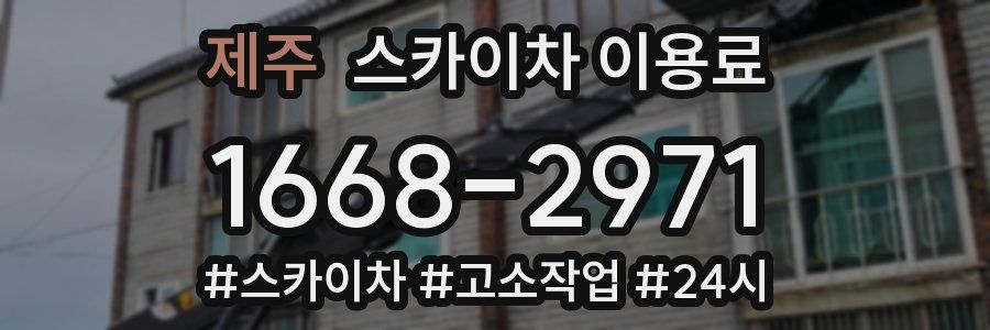 제주 스카이차 이용료