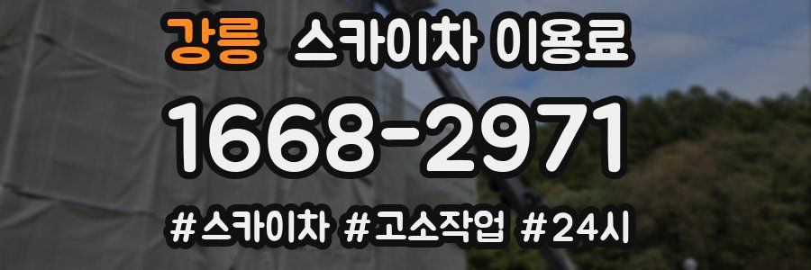 강릉 스카이차 이용료