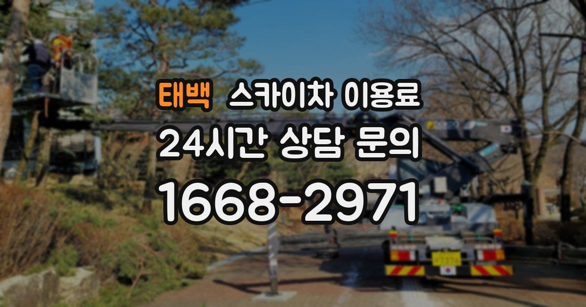 태백 스카이차 이용료
