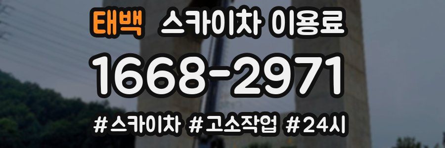 태백 스카이차 이용료