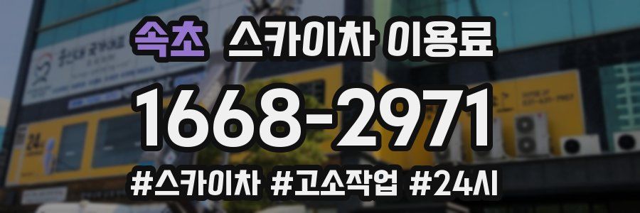 속초 스카이차 이용료
