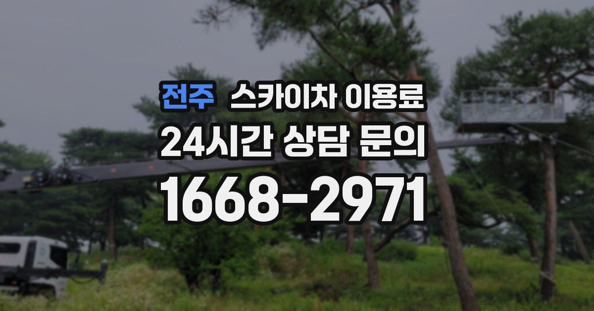 전주 스카이차 이용료