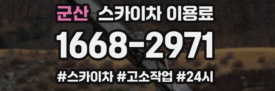 군산 스카이차 이용료