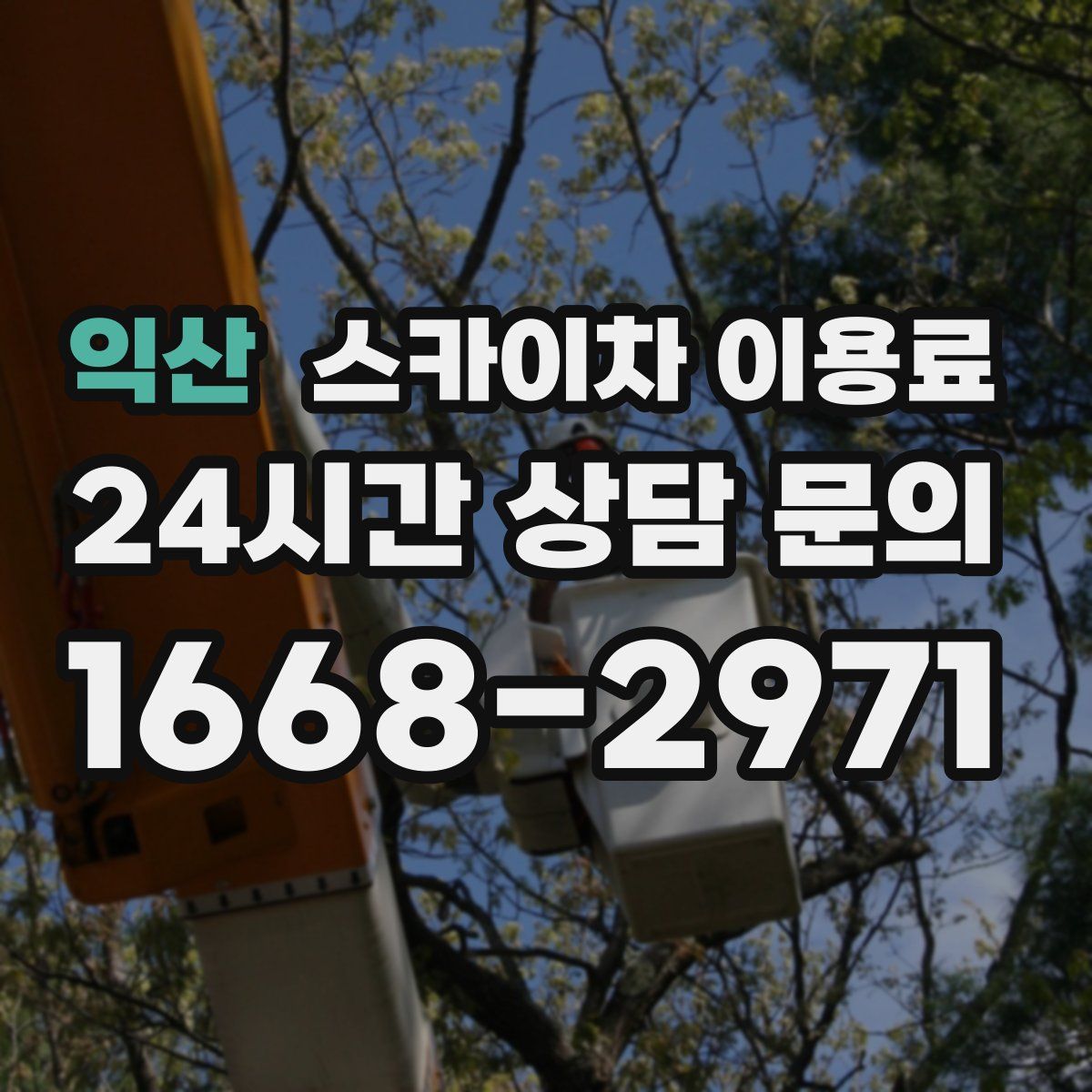 익산 스카이차 이용료