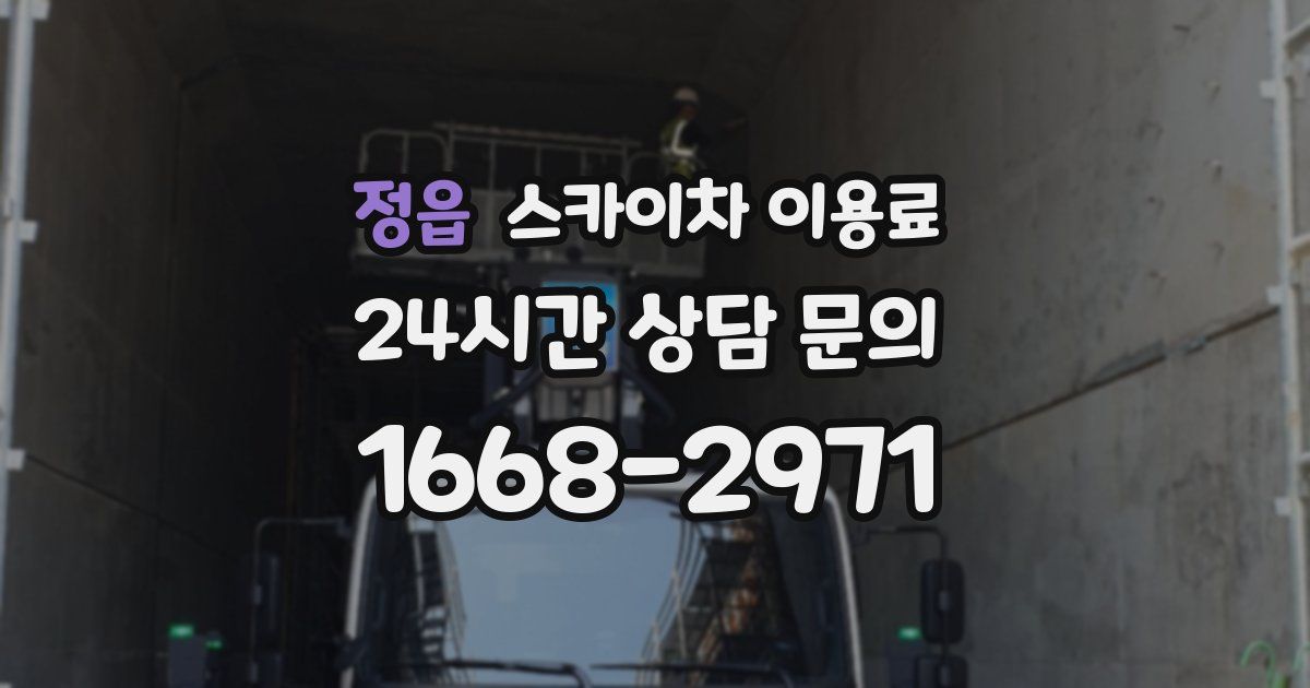 정읍 스카이차 이용료