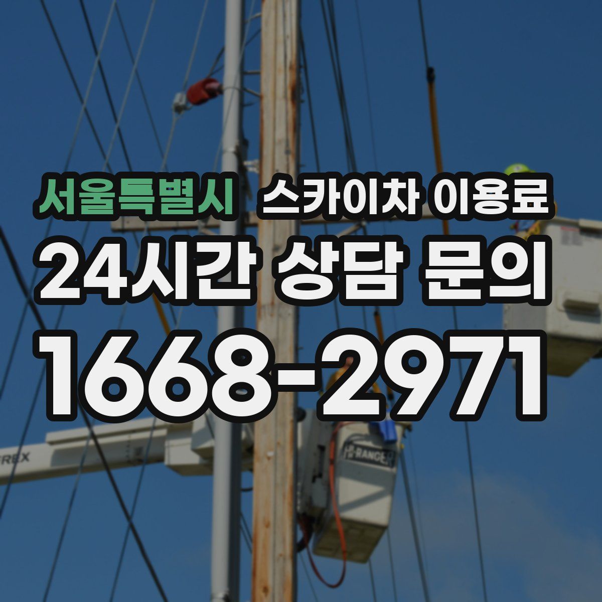 서울특별시 스카이차 이용료