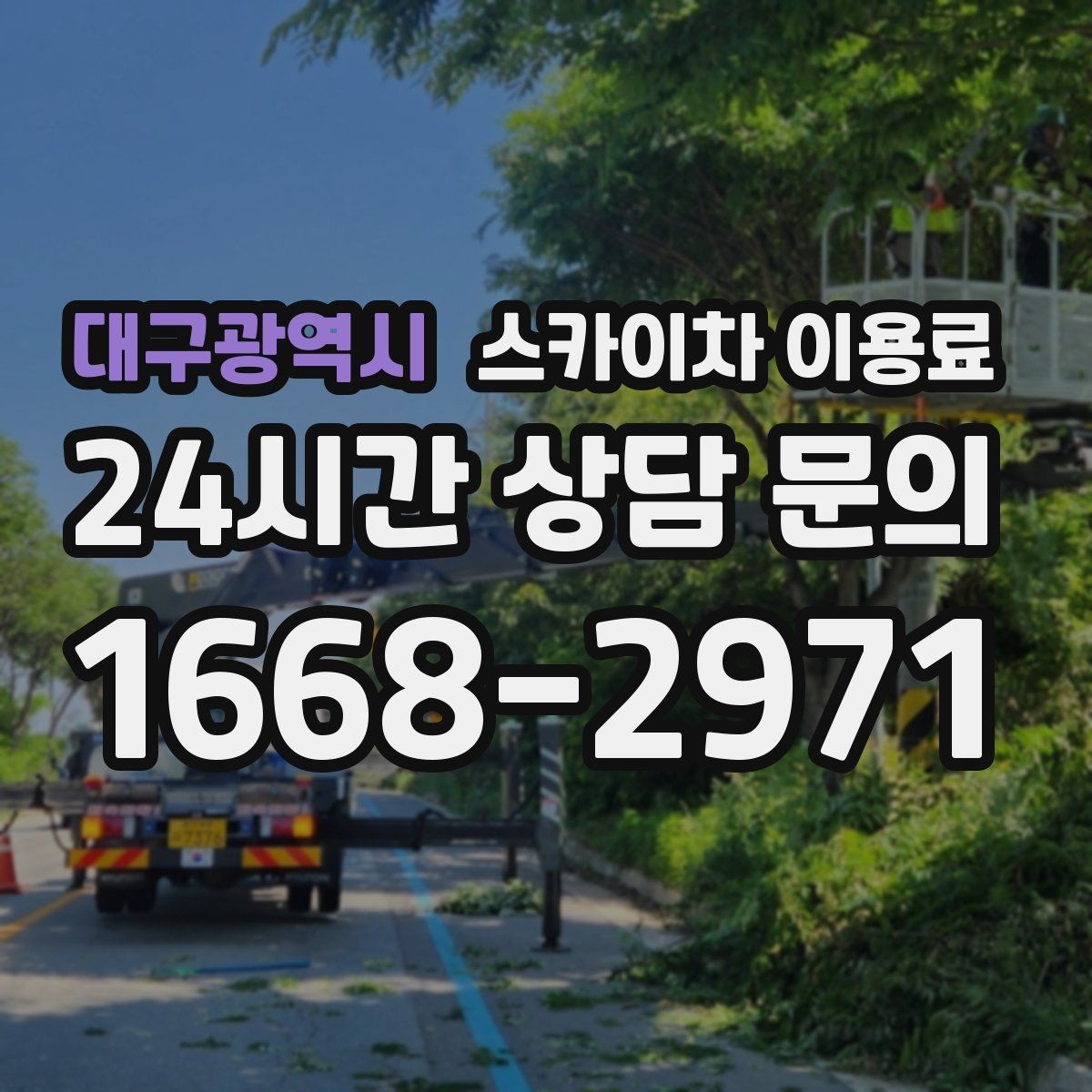 대구광역시 스카이차 이용료 산정 시 기본료와 추가 요금 구분하기
