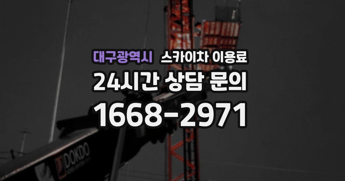 대구광역시 스카이차 이용료