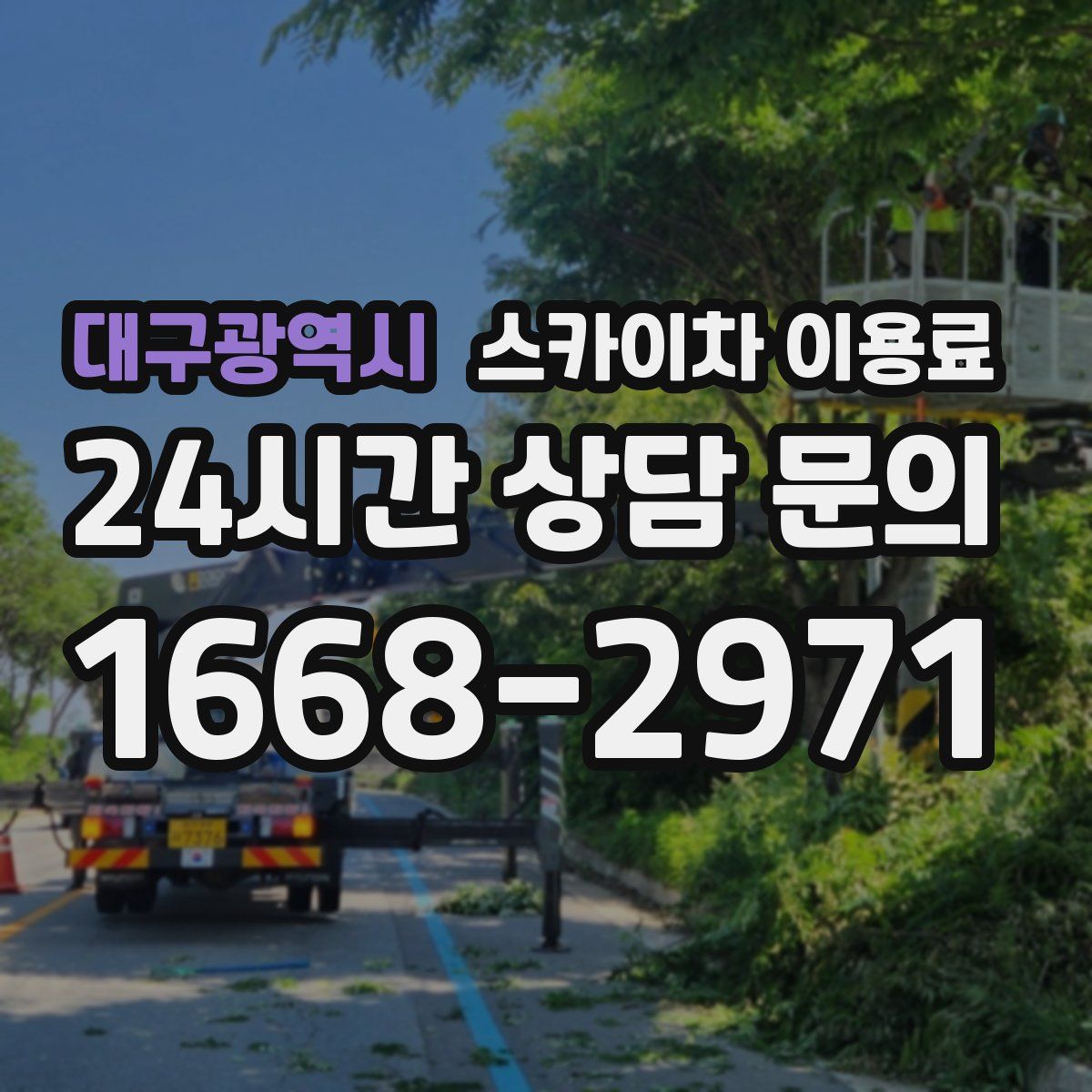 대구광역시 스카이차 이용료