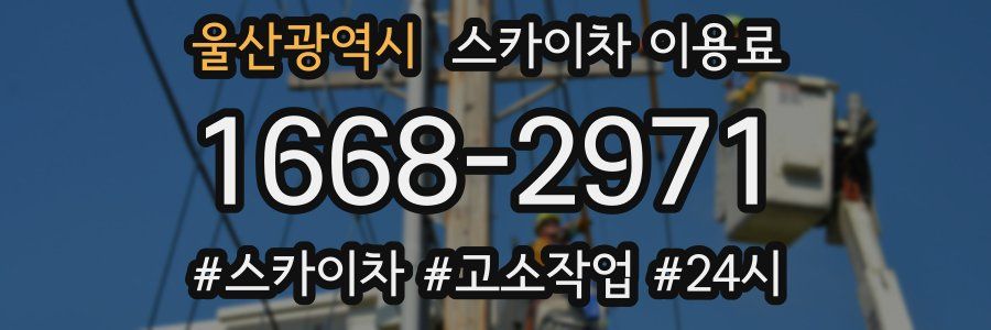 울산광역시 스카이차 이용료