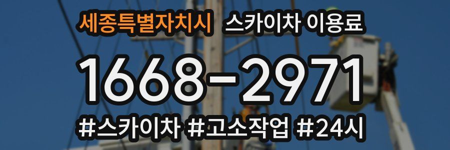 세종특별자치시 스카이차 이용료