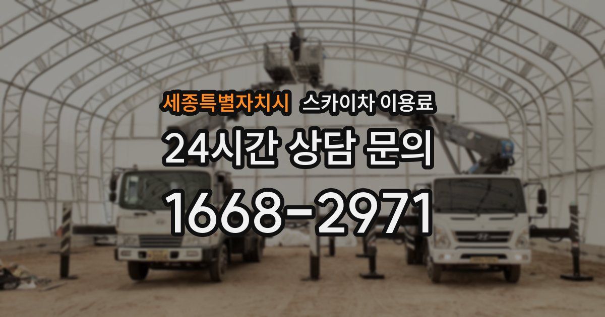 세종특별자치시 스카이차 이용료