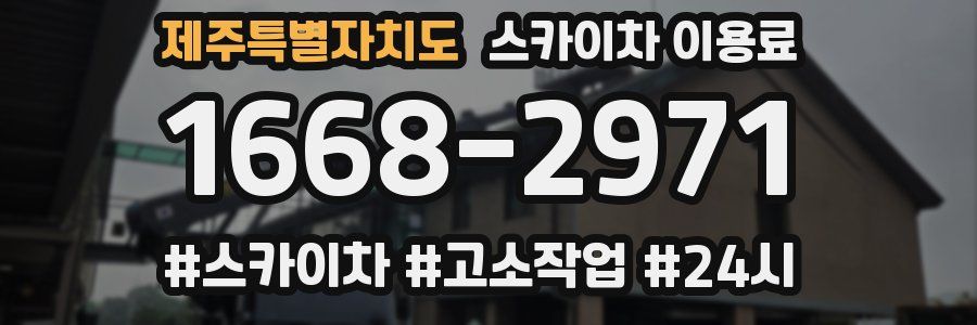 제주특별자치도 스카이차 이용료
