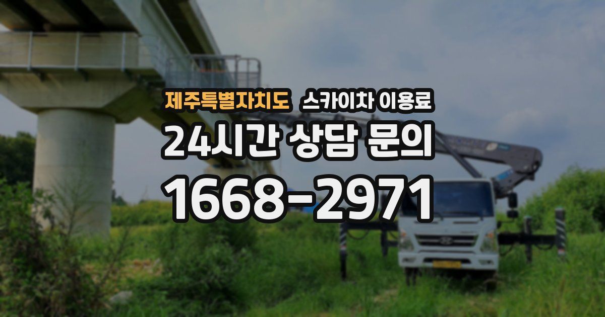 제주특별자치도 스카이차 이용료