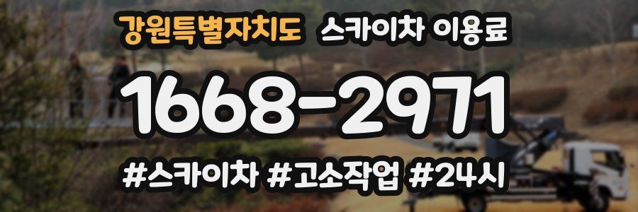 강원특별자치도 스카이차 이용료