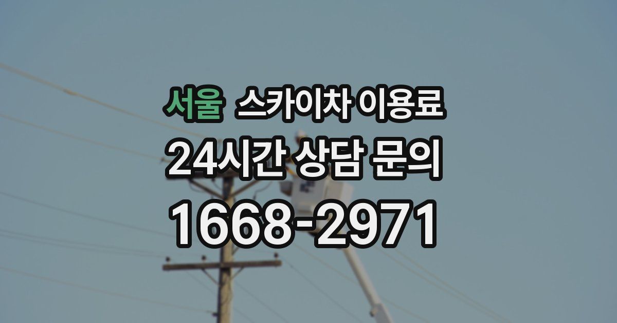 서울 스카이차 이용료
