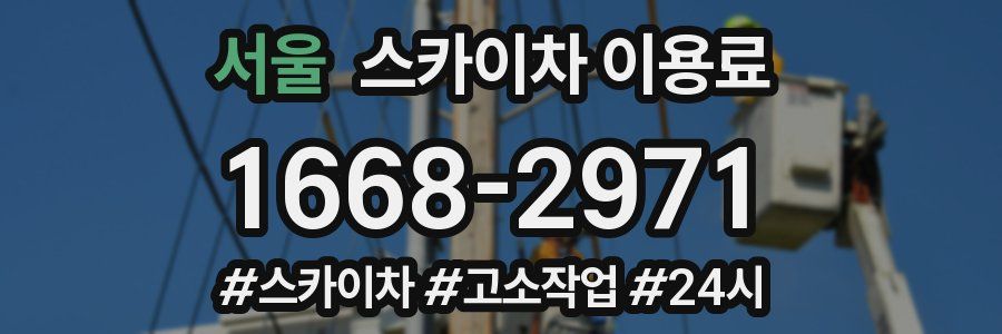 서울 스카이차 이용료