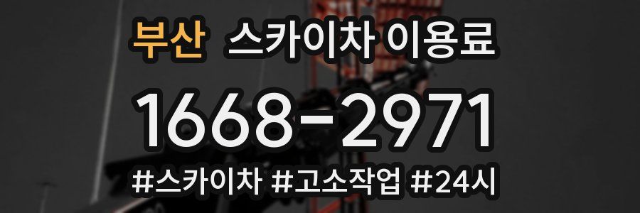 부산 스카이차 이용료
