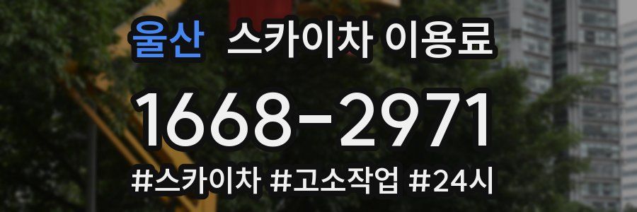 울산 스카이차 이용료