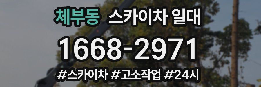체부동 스카이차 일대