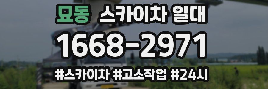 묘동 스카이차 일대