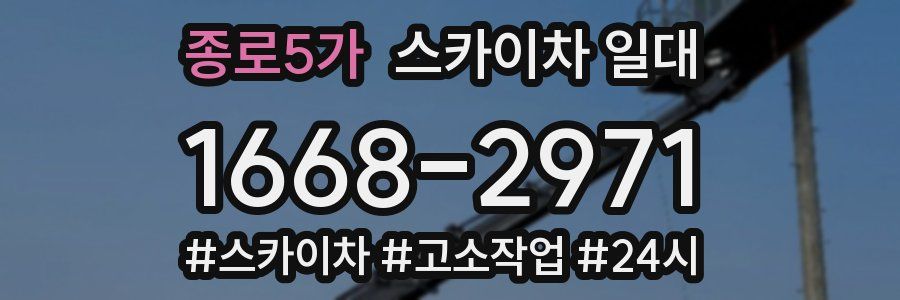 종로5가 스카이차 일대