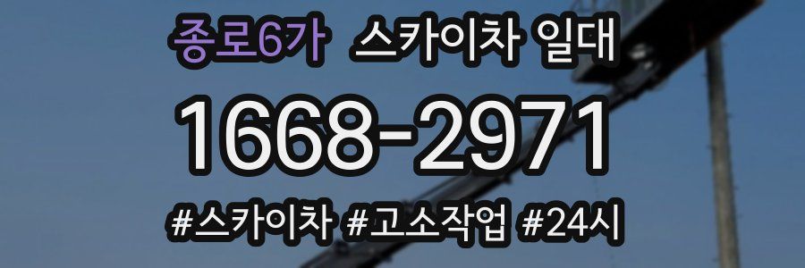 종로6가 스카이차 일대
