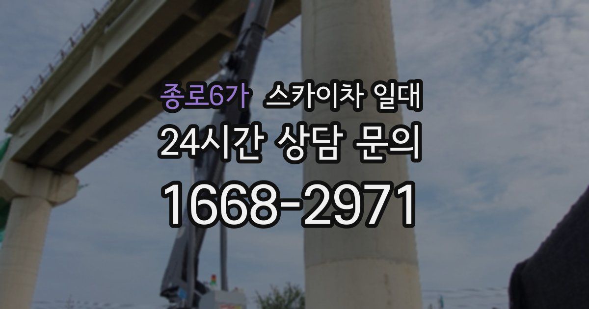 종로6가 스카이차 일대