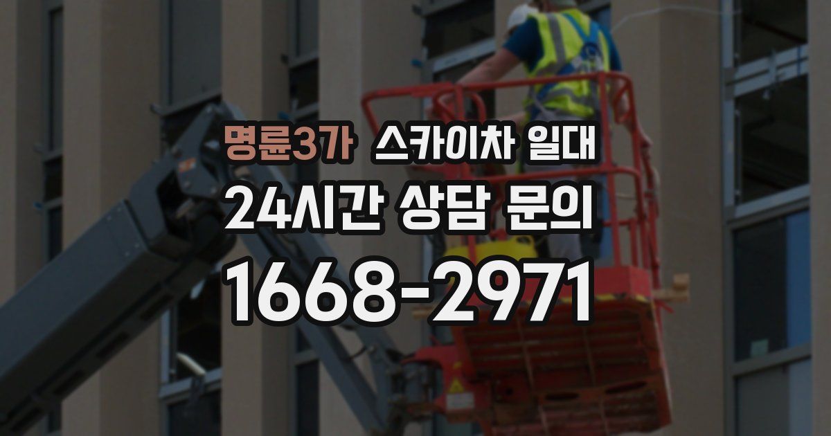 명륜3가 스카이차 일대