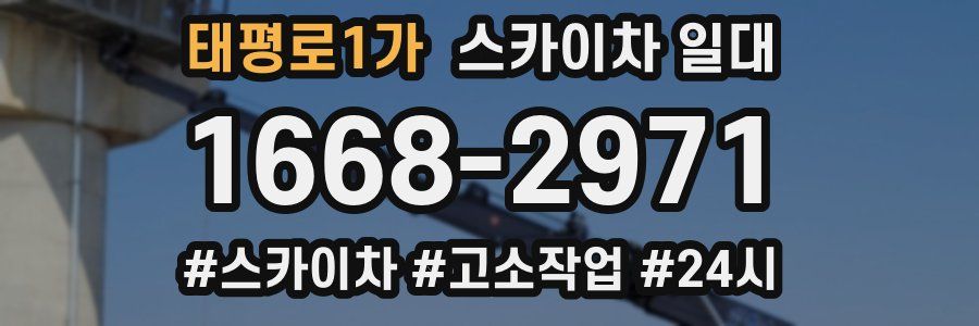 태평로1가 스카이차 일대